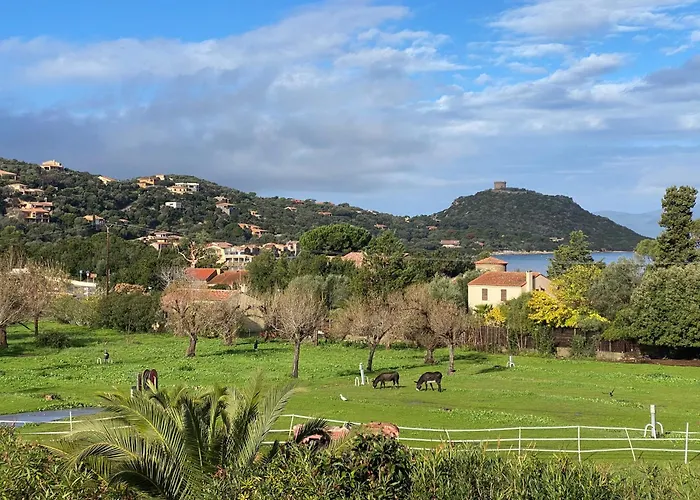 Lavallee4 キャンプ場 *